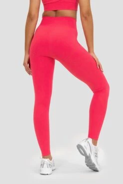 Evolve 2.0 Seamless Legging - Strawberry Soda -Montirex Sale Store EVOLVE 2.0 SEAMLESS LEGGING RASPBERRY close back